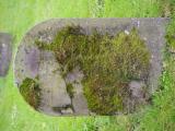 image number 9